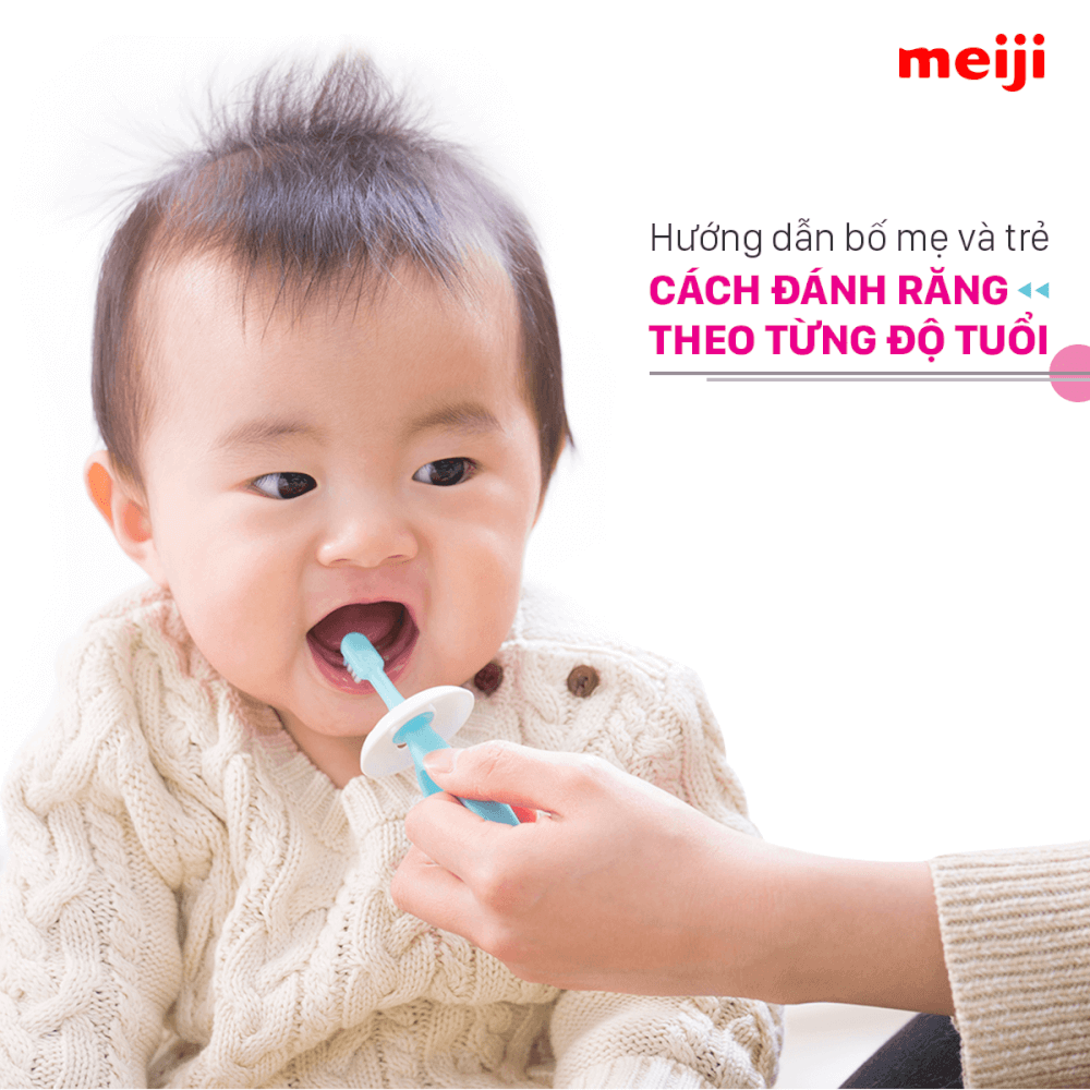 Hướng dẫn bố mẹ và trẻ cách đánh răng theo từng độ tuổi - Meiji