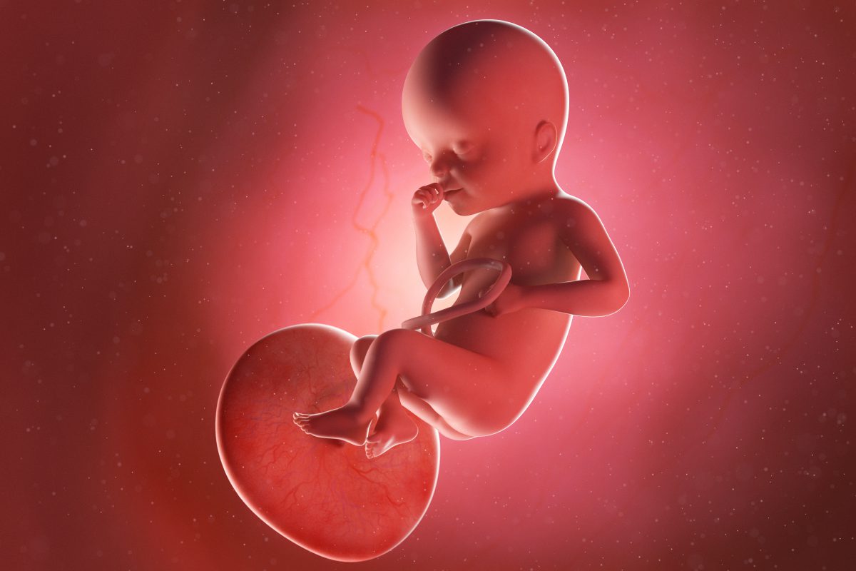 Hình ảnh chụp siêu âm thai 25 tuần tuổi
